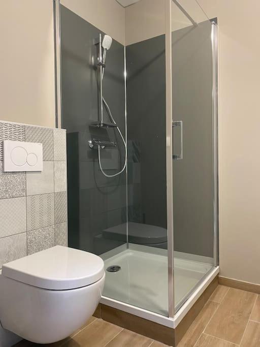 Appartement Proximite Centre Mulhouse Eksteriør bilde